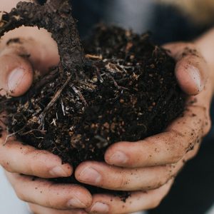 image of a person holding some soil